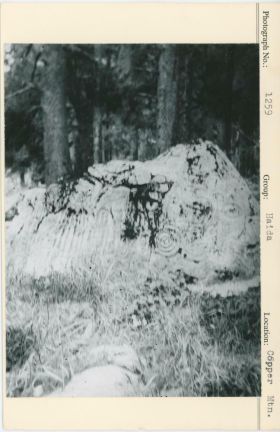 Image representing photograph.