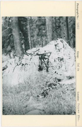 Image representing photograph.