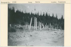 Image representing photograph.