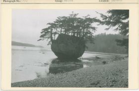 Image representing photograph.