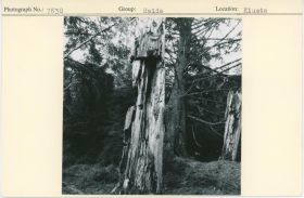 Image representing photograph.