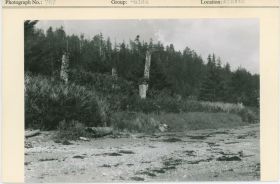 Image representing photograph.