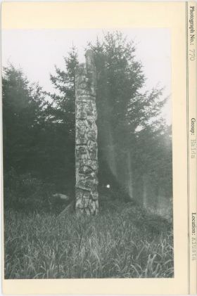 Image representing photograph.