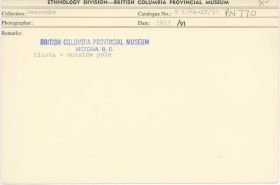 Image représentant photograph