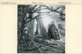 Image representing photograph.