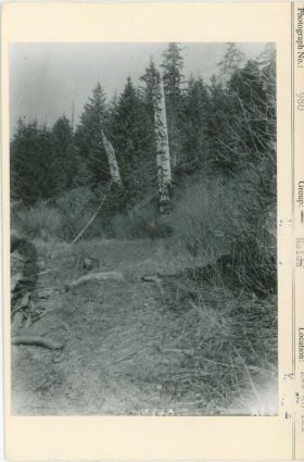 Image representing photograph.