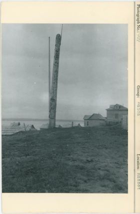 Image representing photograph.