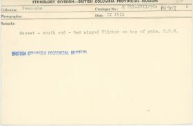 Image representing photograph.