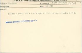 Image representing photograph.