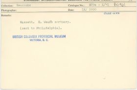 Image representing photograph.