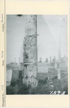 Image representing photograph.