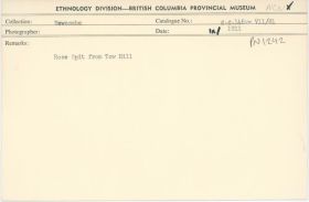 Image representing photograph.