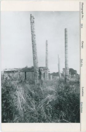 Image representing photograph.