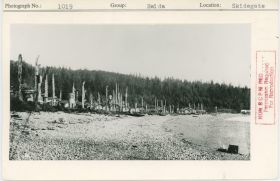 Image representing photograph.