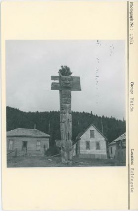 Image representing photograph.