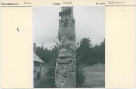 Image representing photograph.