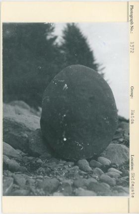 Image representing photograph.