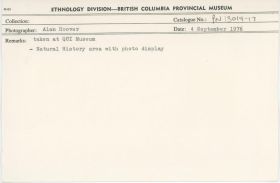 Image representing photograph.