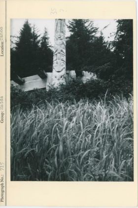 Image representing photograph.