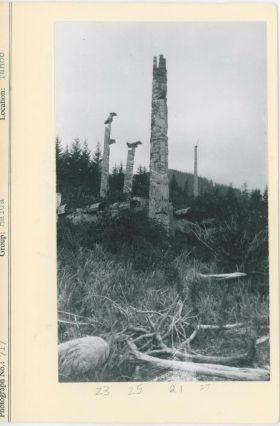 Image representing photograph.