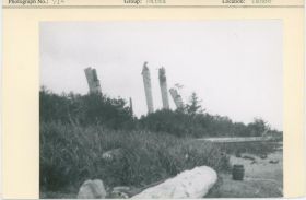 Image representing photograph.