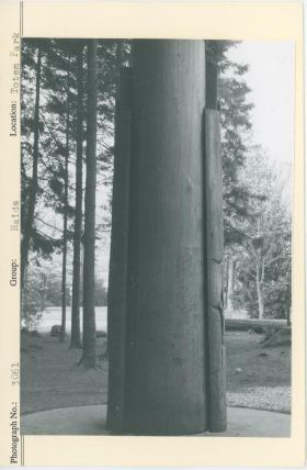 Image representing photograph.