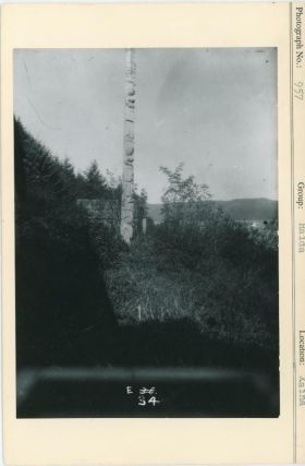 Image representing photograph.