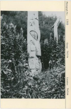 Image representing photograph.