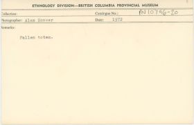 Image representing photograph.