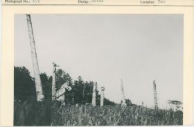 Image representing photograph.