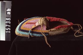 Image representing Moccasin.