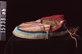 Image representing Moccasin.