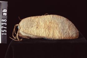 Image representing Moccasin.