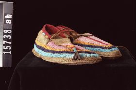 Image representing Moccasin.