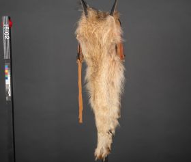 Image representing Mask.