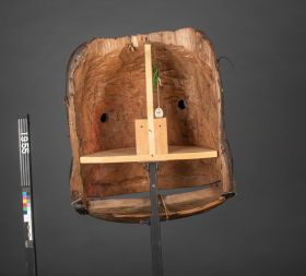 Image representing Mask.