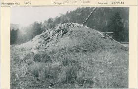 Image representing photograph.