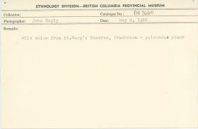 Image representing photograph.