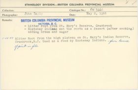 Image representing photograph.