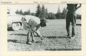 Image representing photograph.