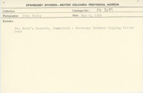 Image representing photograph.