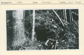 Image representing photograph.