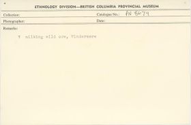 Image representing photograph.