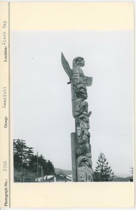 Image representing photograph.