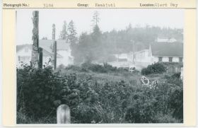 Image representing photograph.