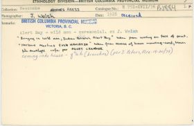 Image representing photograph.