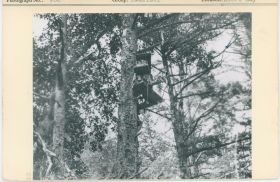 Image representing photograph.