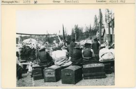 Image representing photograph.