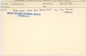 Image representing photograph.