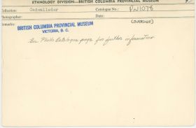 Image representing photograph.